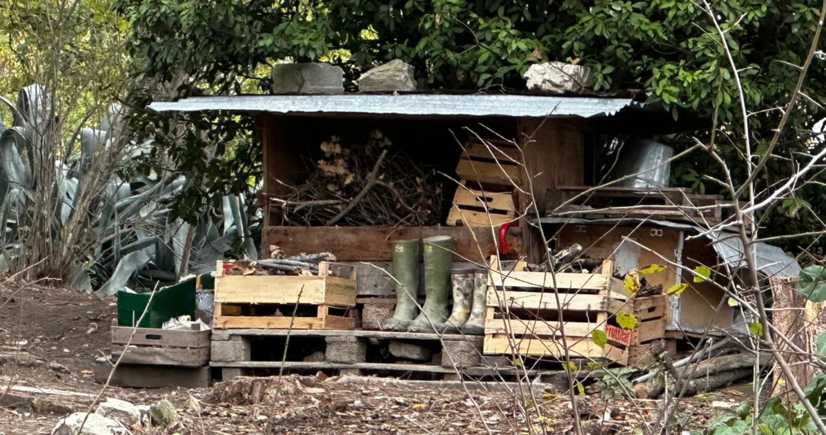 I giudici italiani criticati anche dai media stranieri: "Errore allontanare i figli"