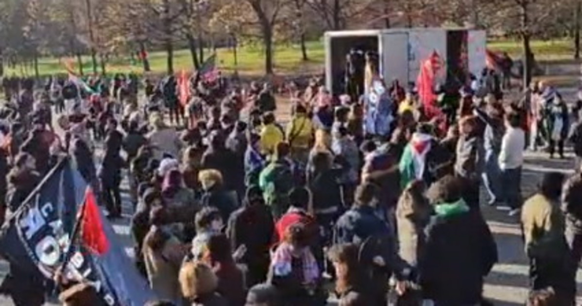 Corteo pro Pal a Milano, scatta la denuncia: "Non si può più sopportare"