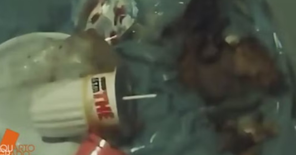 garlasco la verit224 nascosta nella perizia di chi sono le altre tracce