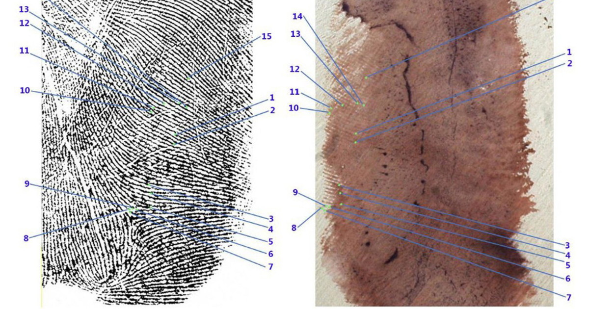 Garlasco, bomba sulla traccia 33: "Non si può escludere analisi"