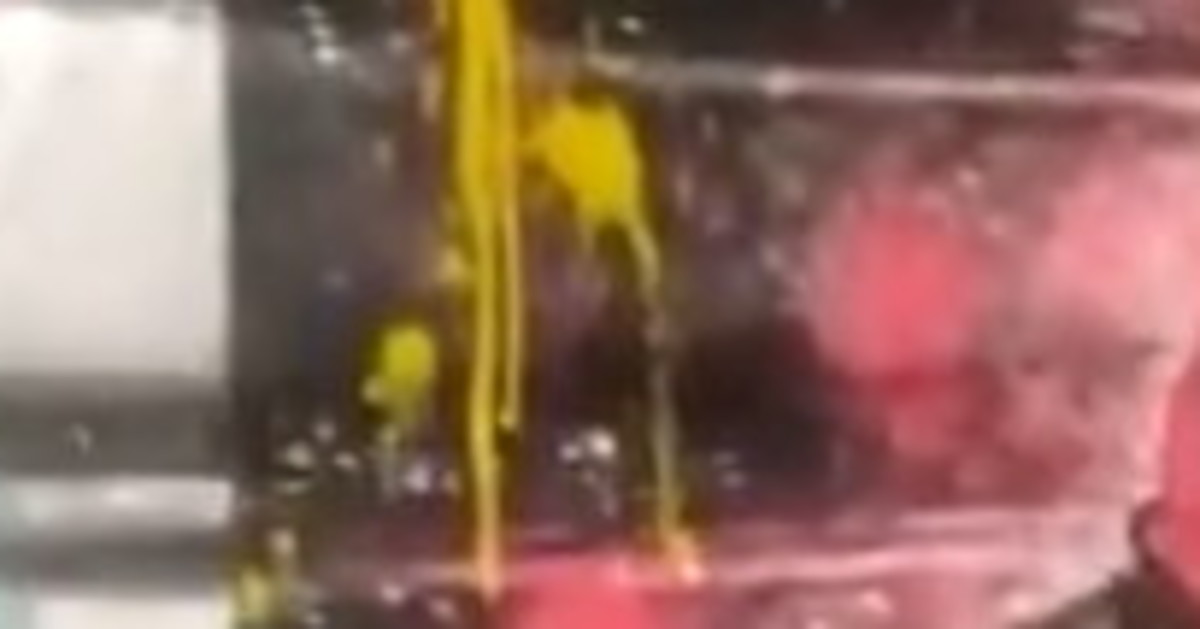 Milano, polemica per l Milano, polemica per l