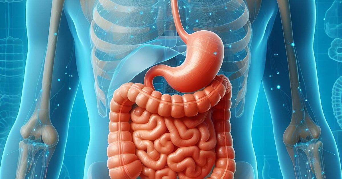 cancro ecco l alimento che blocca il tumore alla prostata da Liberoquotidiano.it cancro ecco l alimento che blocca il tumore alla prostata