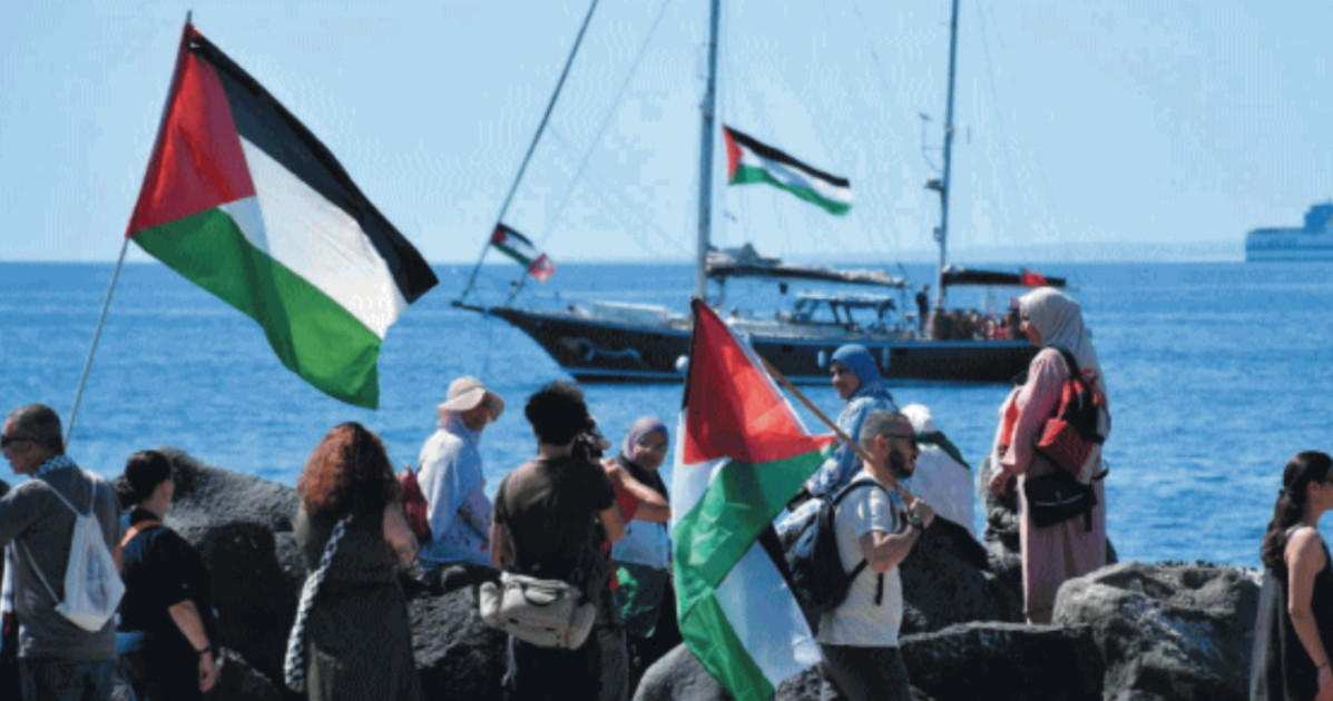 Flotilla edizione 2026: ritorna la crociera pro Pal Flotilla edizione 2026: ritorna la crociera pro Pal