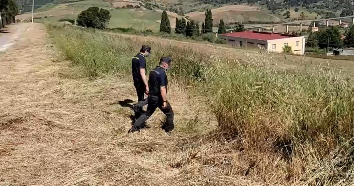 messina tre cacciatori morti in un boco corpi crivellati da colpi di pistola ipotesi choc da Liberoquotidiano.it messina tre cacciatori morti in un boco corpi crivellati da colpi di pistola ipotesi choc
