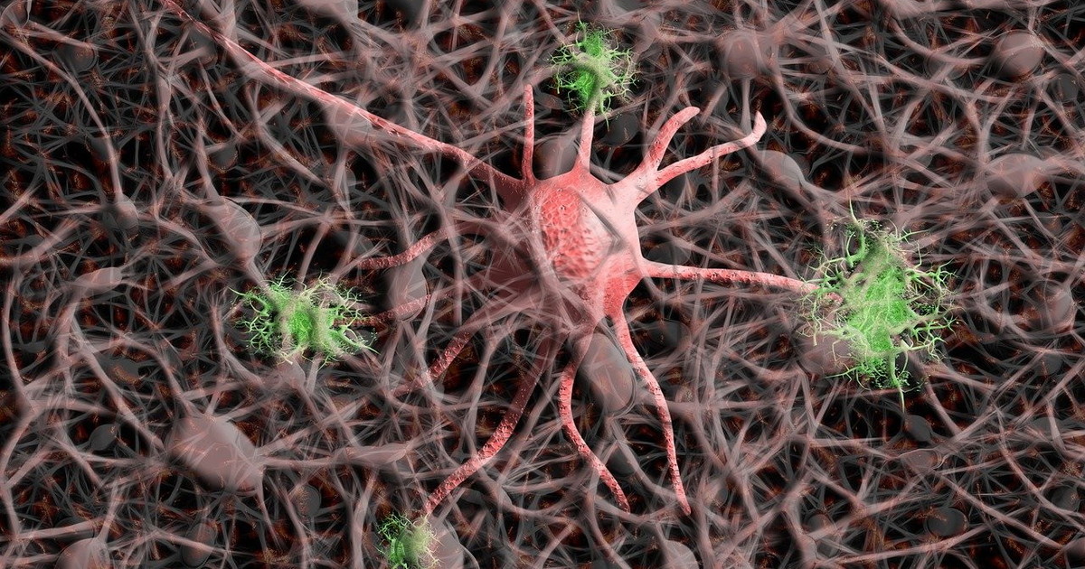 cancro i 3 fattori chiave che innescano la malattia da Liberoquotidiano.it cancro i 3 fattori chiave che innescano la malattia