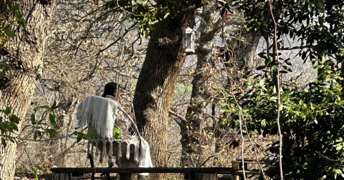 famiglia nel bosco i genitori che litigano l8217autolesionismo dei figli il pasticcio dei giudici sta demolendo la famiglia da Liberoquotidiano.it famiglia nel bosco i genitori che litigano l8217autolesionismo dei figli il pasticcio dei giudici sta demolendo la famiglia