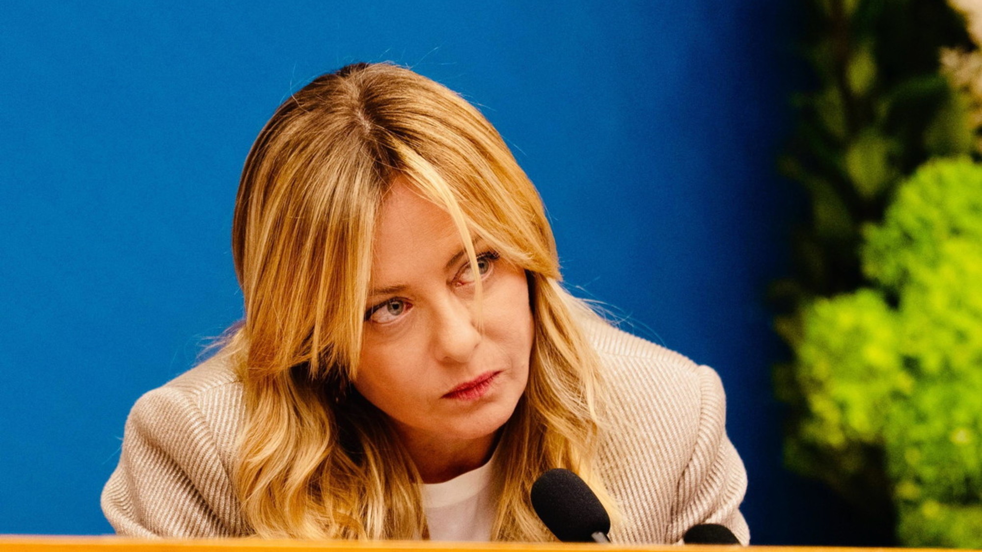 motosega meloni condividete le mosse della premier dopo il referendum da Liberoquotidiano.it motosega meloni condividete le mosse della premier dopo il referendum