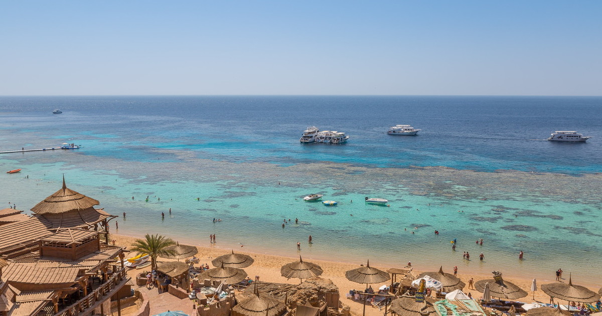 trieste coppia in vacanza a sharm lascia i figli minori soli a casa finisce in dramma da Liberoquotidiano.it trieste coppia in vacanza a sharm lascia i figli minori soli a casa finisce in dramma