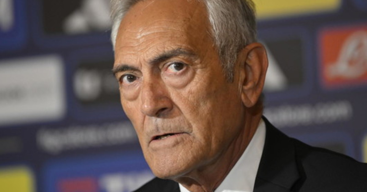 irma testa spiana gravina dilettanti i veri professionisti siamo noi da Liberoquotidiano.it irma testa spiana gravina dilettanti i veri professionisti siamo noi