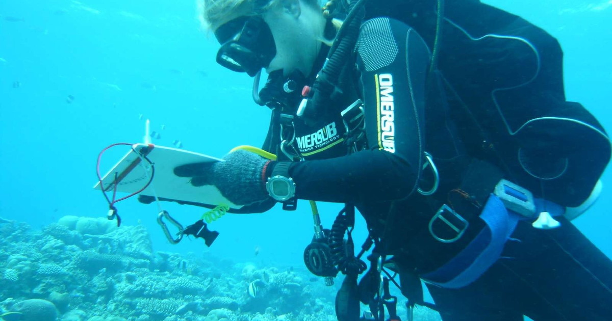 maldive la sesta italiana sopravvissuta cosa 232 successo sulla duke of york da Liberoquotidiano.it maldive la sesta italiana sopravvissuta cosa 232 successo sulla duke of york