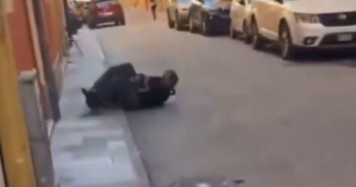 modena il video di luca signorelli che blocca salim el koudri l urlo e il coltello da Liberoquotidiano.it modena il video di luca signorelli che blocca salim el koudri l urlo e il coltello