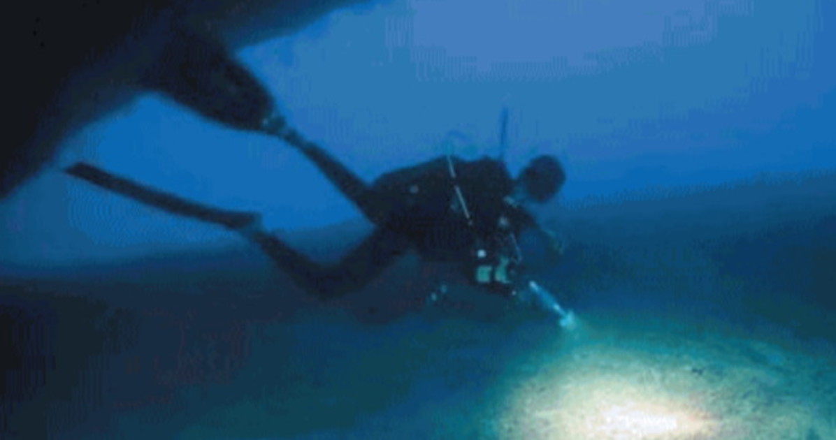 maldive ecco com 232 morto il sub soccorritore risvolti sconvolgenti da Liberoquotidiano.it maldive ecco com 232 morto il sub soccorritore risvolti sconvolgenti