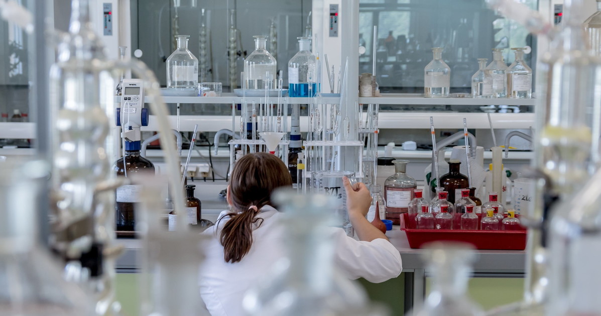 cancro lo scudo che ferma la crescita delle cellule tumorali da Liberoquotidiano.it cancro lo scudo che ferma la crescita delle cellule tumorali