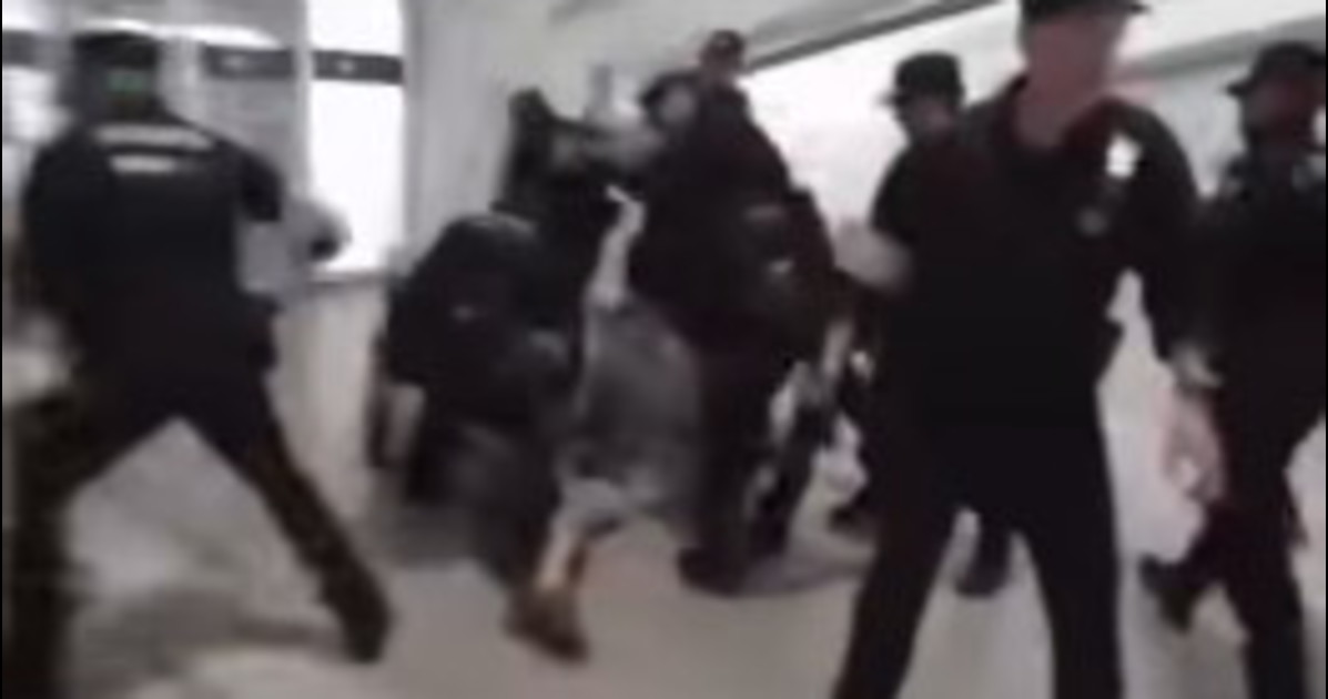 bilbao quelli della flotilla manganellati dalla polizia in aeroporto scena clamorosa a casa di pedro sanchez da Liberoquotidiano.it bilbao quelli della flotilla manganellati dalla polizia in aeroporto scena clamorosa a casa di pedro sanchez