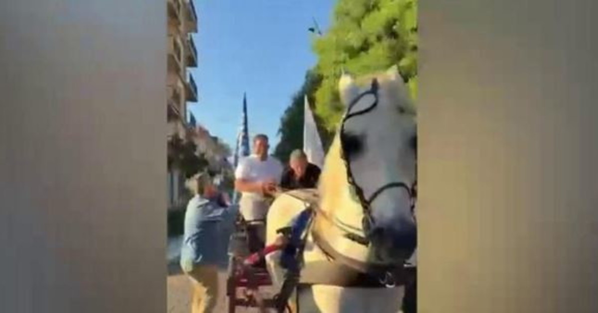 laterza il sindaco vince e si fa trainare da un cavallo esplode la rissa col vigile da Liberoquotidiano.it laterza il sindaco vince e si fa trainare da un cavallo esplode la rissa col vigile