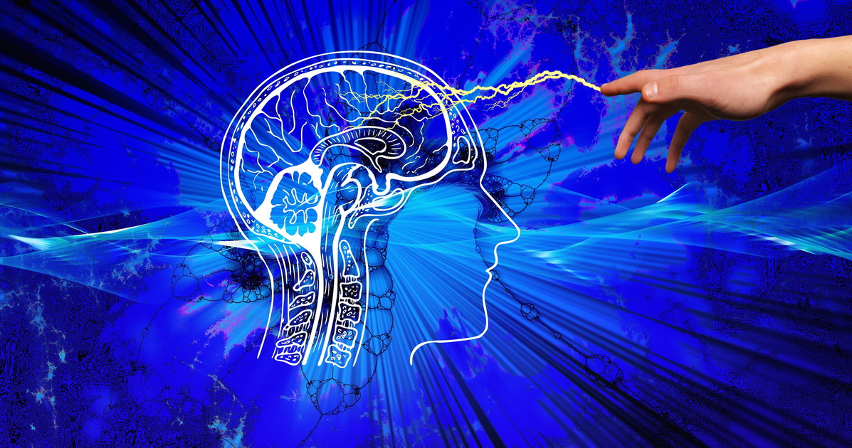 cervello cosa scorda di controllare il segreto della nostra mente da Liberoquotidiano.it cervello cosa scorda di controllare il segreto della nostra mente
