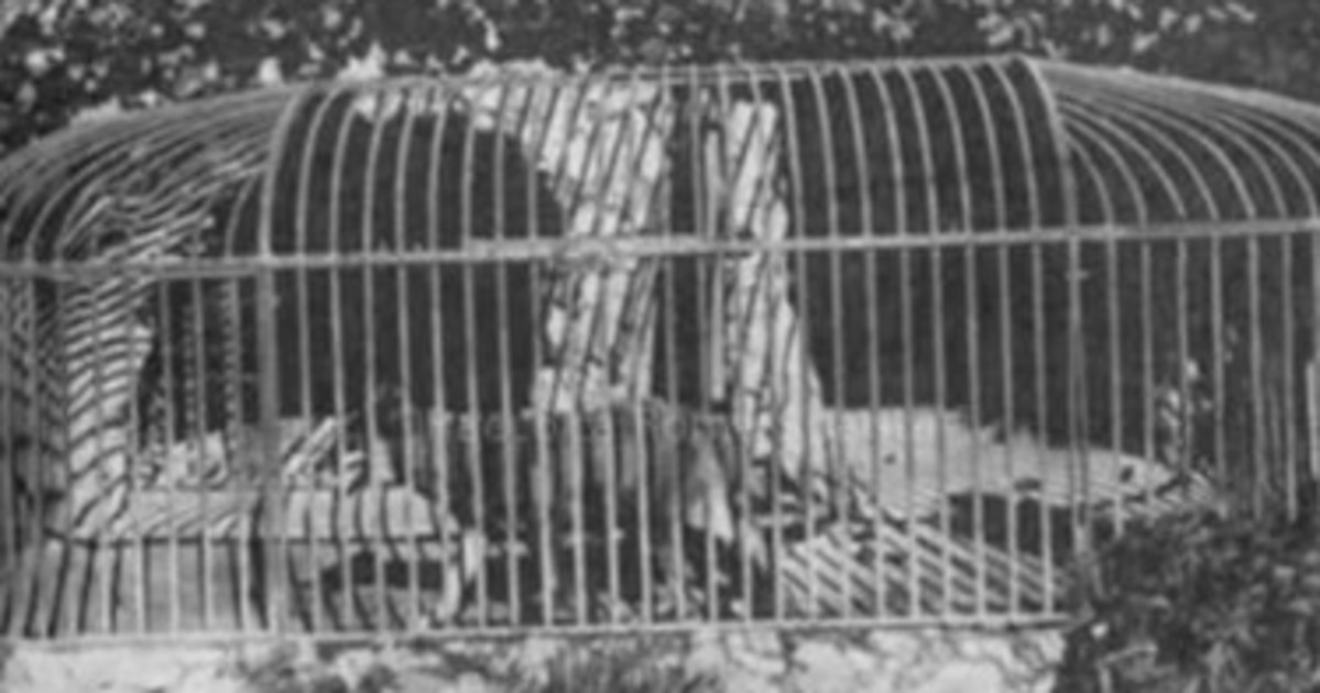 la lupa e l aquila prigioniere al campidoglio da Liberoquotidiano.it la lupa e l aquila prigioniere al campidoglio