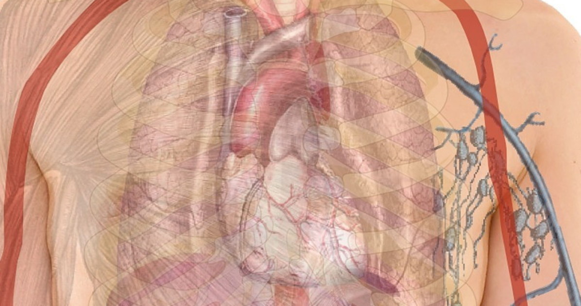 Infarto, quando le cellule del cuore cambiano: il ruolo chiave di un gene
