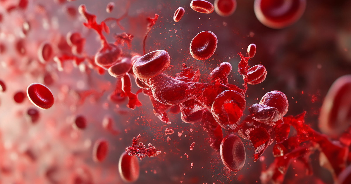 tumori del fegato polmone e stomaco l esame del sangue per la diagnosi precoce da Liberoquotidiano.it tumori del fegato polmone e stomaco l esame del sangue per la diagnosi precoce