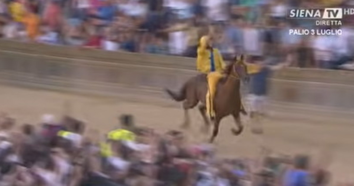 palio di siena l aquila vince 34 anni dopo tittia e diodoro fanno la storia da Liberoquotidiano.it palio di siena l aquila vince 34 anni dopo tittia e diodoro fanno la storia