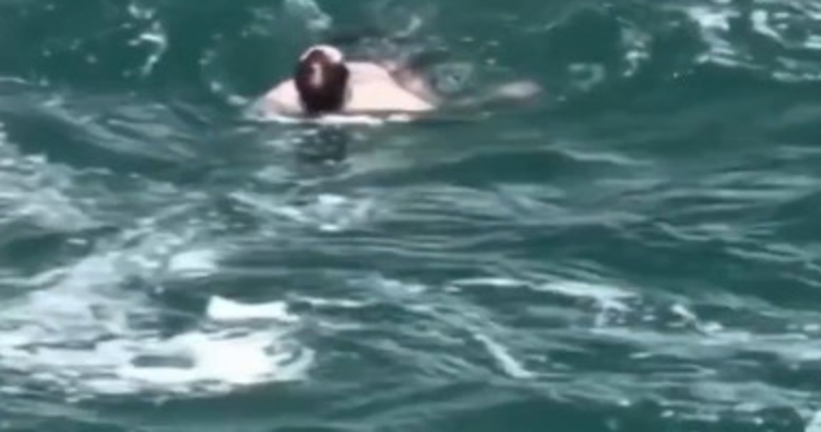 canada follia alle cascate del niagara si lancia da 52 metri vivo per miracolo da Liberoquotidiano.it canada follia alle cascate del niagara si lancia da 52 metri vivo per miracolo