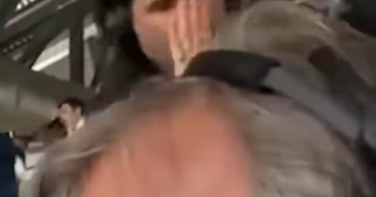 adani il video rubato rimedio cerca di fermarlo dopo il gol dell argentina da Liberoquotidiano.it adani il video rubato rimedio cerca di fermarlo dopo il gol dell argentina