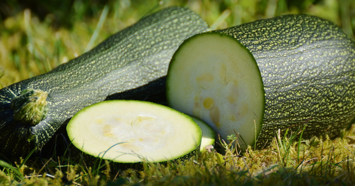 zucchine perch232 fanno all intestino e al cuore e la buccia da Liberoquotidiano.it zucchine perch232 fanno all intestino e al cuore e la buccia
