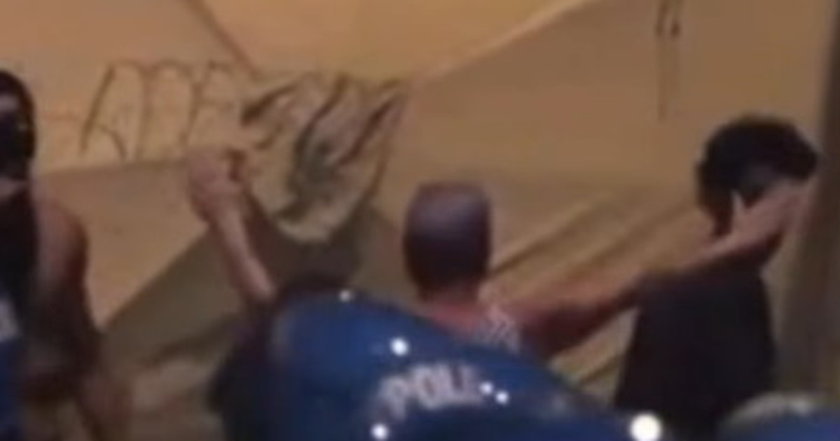 fakir giorgia meloni brava francesca il video che fa impazzire la sinistra da Liberoquotidiano.it fakir giorgia meloni brava francesca il video che fa impazzire la sinistra