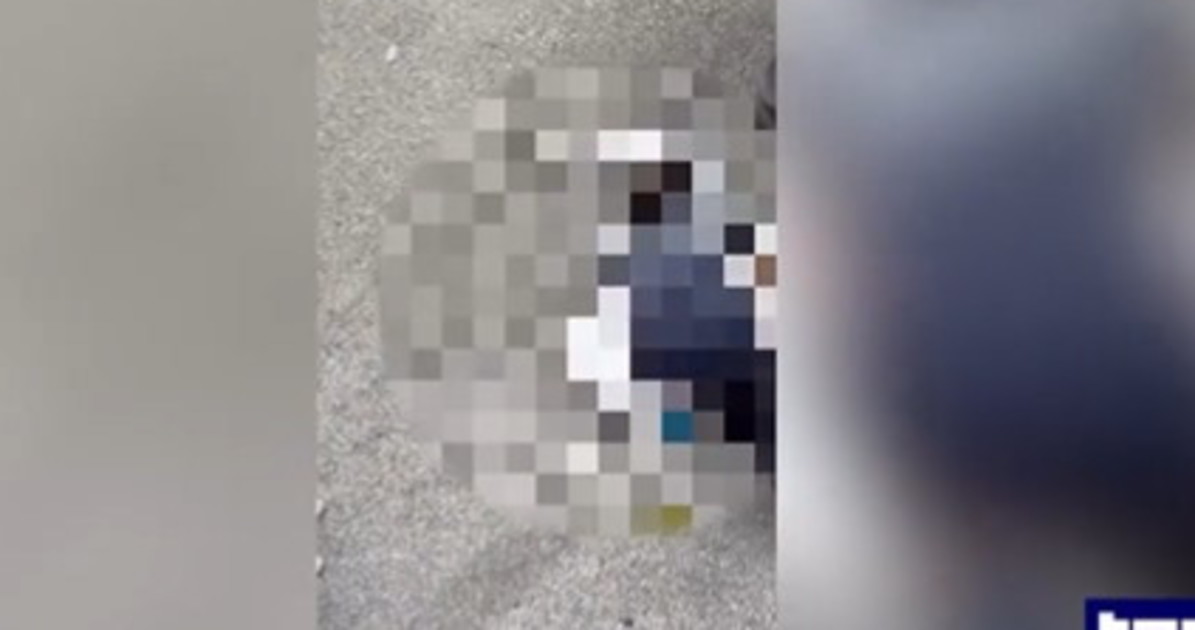 fakir la cocaina e la pozza di sangue nuovo video altro fango sulla polizia da Liberoquotidiano.it fakir la cocaina e la pozza di sangue nuovo video altro fango sulla polizia