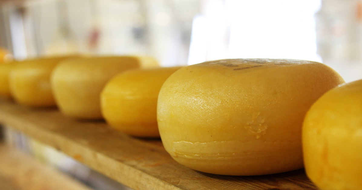mangi242 formaggio a latte crudo mattia maestri morto a 13 anni dopo 9 anni di coma da Liberoquotidiano.it mangi242 formaggio a latte crudo mattia maestri morto a 13 anni dopo 9 anni di coma