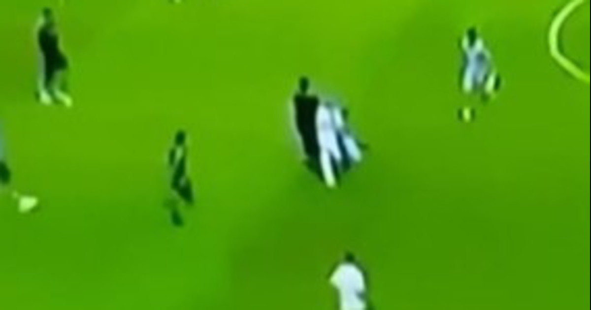 juventus il tifoso invade il campo entrata killer su gatti da Liberoquotidiano.it juventus il tifoso invade il campo entrata killer su gatti