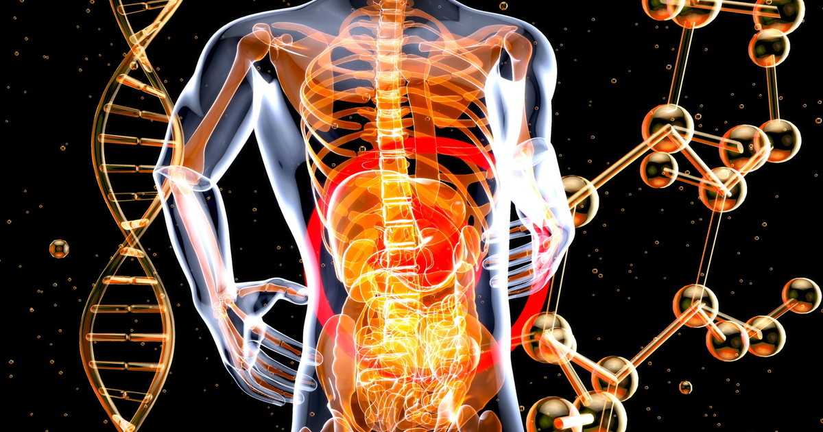 intestino cos236 il microbioma pu242 influenzare la salute fin dai primi mesi di vita da Liberoquotidiano.it intestino cos236 il microbioma pu242 influenzare la salute fin dai primi mesi di vita