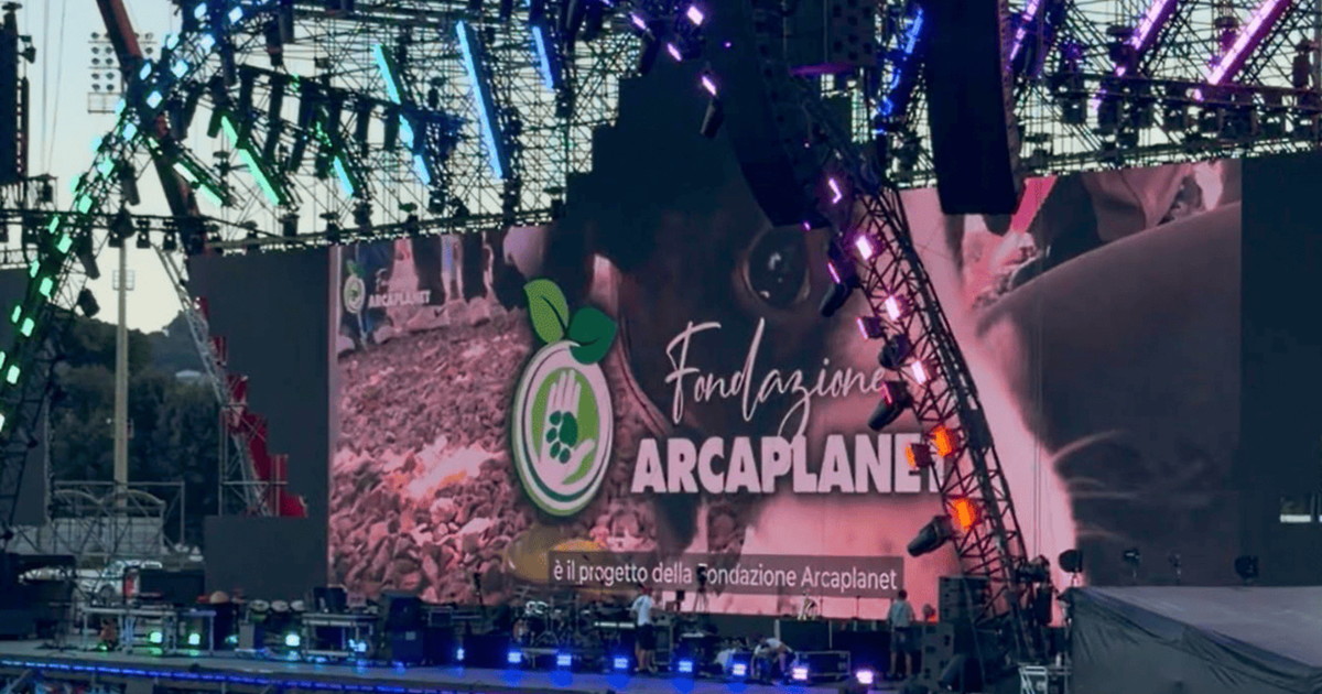 la lotta all abbandono degli animali di arcaplanet da Liberoquotidiano.it la lotta all abbandono degli animali di arcaplanet