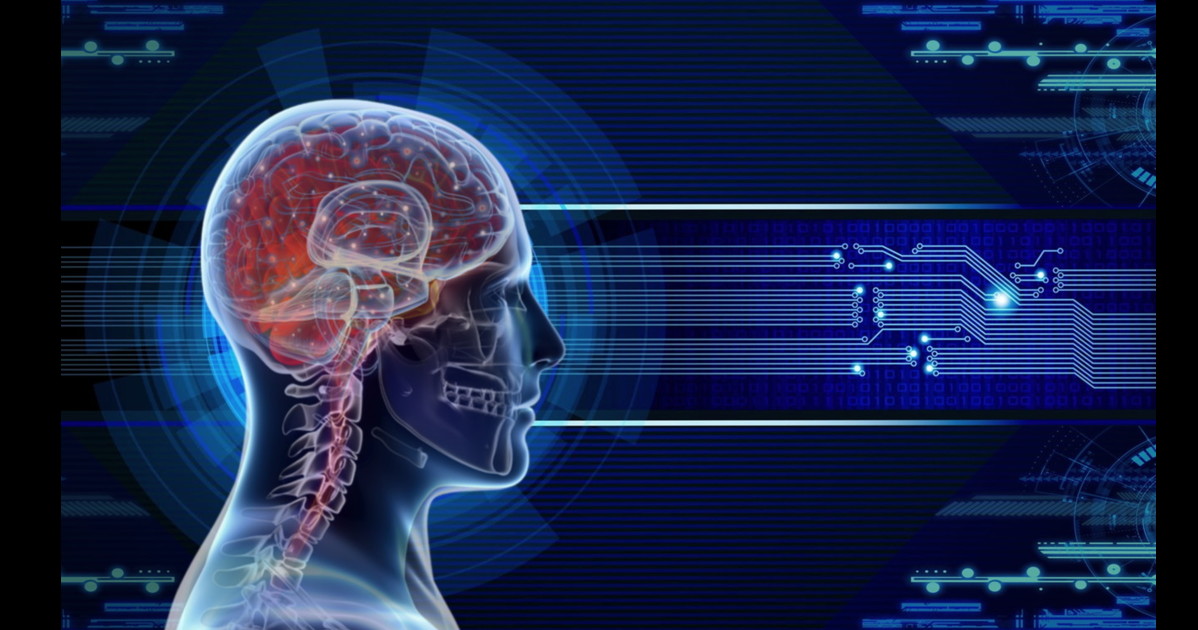 quando dormi si spegne il cervello no ecco cosa accade da Liberoquotidiano.it quando dormi si spegne il cervello no ecco cosa accade