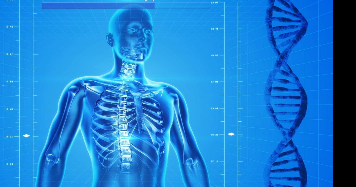 inizio della vita la scoperta scientifica che svela i segreti del dna da Liberoquotidiano.it inizio della vita la scoperta scientifica che svela i segreti del dna