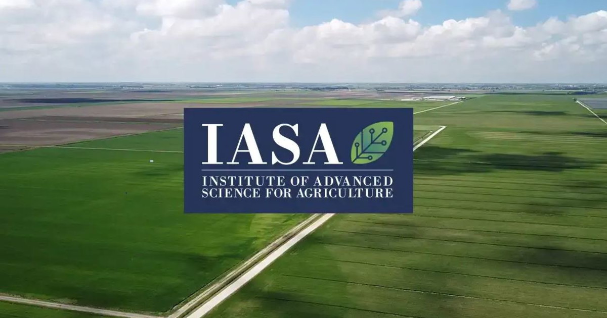 agroalimentare nasce iasa prima scuola internazionale di dottorato da Liberoquotidiano.it agroalimentare nasce iasa prima scuola internazionale di dottorato