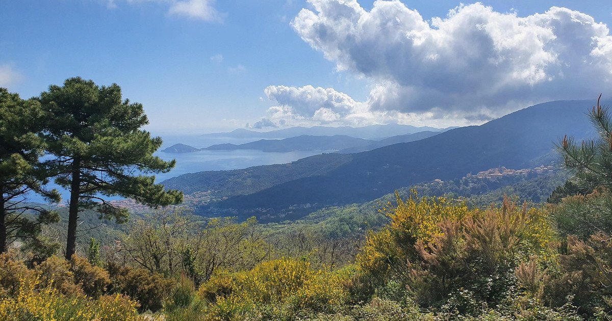 isola d elba mangiano e dormono in un agriturismo per 17 giorni quando devono pagare da Liberoquotidiano.it isola d elba mangiano e dormono in un agriturismo per 17 giorni quando devono pagare