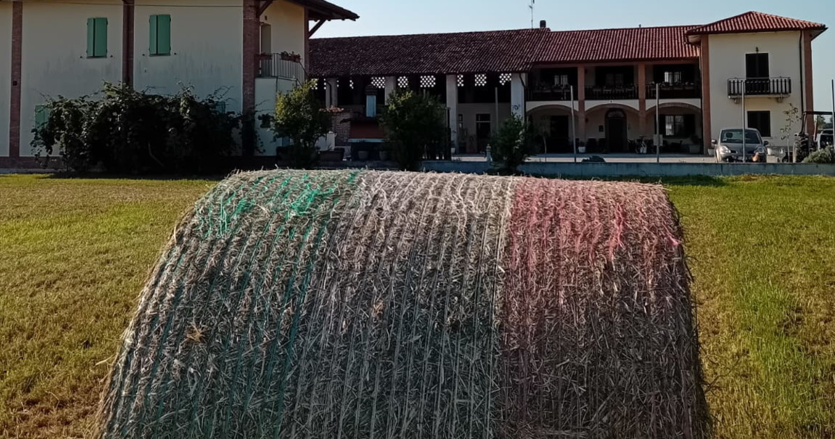 dal campo alla tavola sapete cosa mangiano i vostri bimbi alla scoperta dei grani antichi e non solo da Liberoquotidiano.it dal campo alla tavola sapete cosa mangiano i vostri bimbi alla scoperta dei grani antichi e non solo