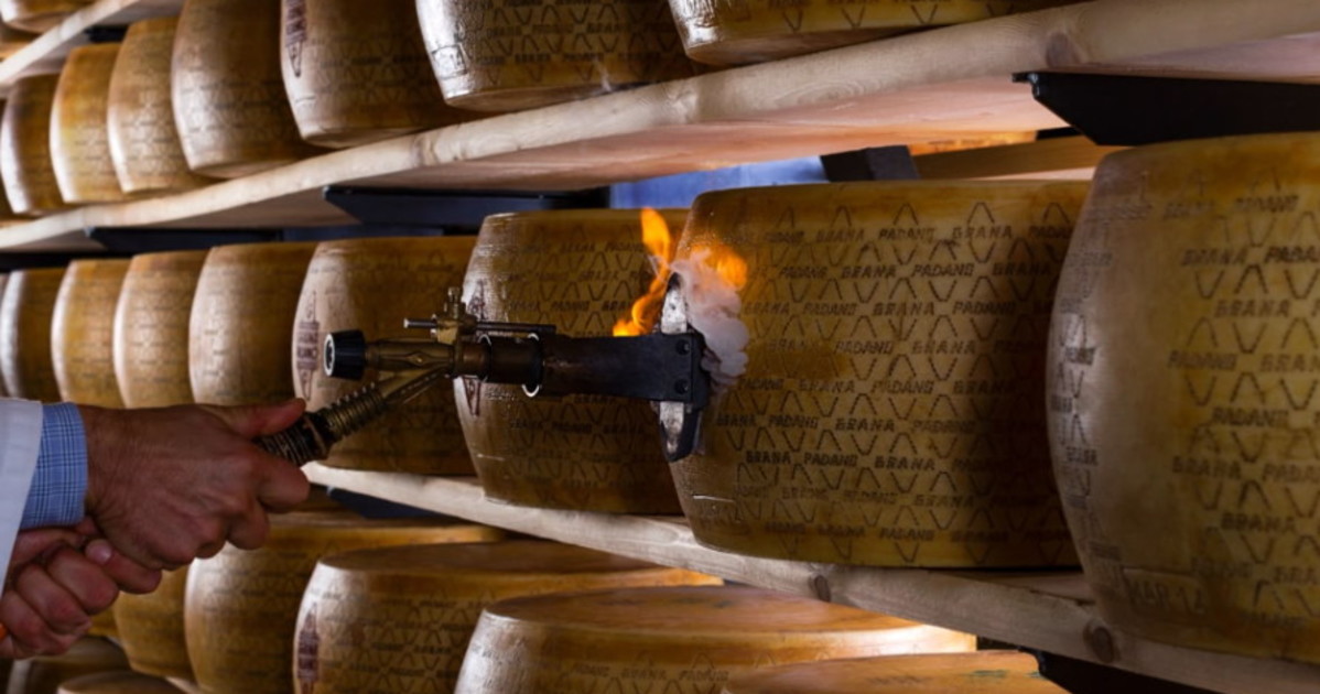 al sial di parigi grana padano fa sistema con le grandi dop italiane da Liberoquotidiano.it al sial di parigi grana padano fa sistema con le grandi dop italiane