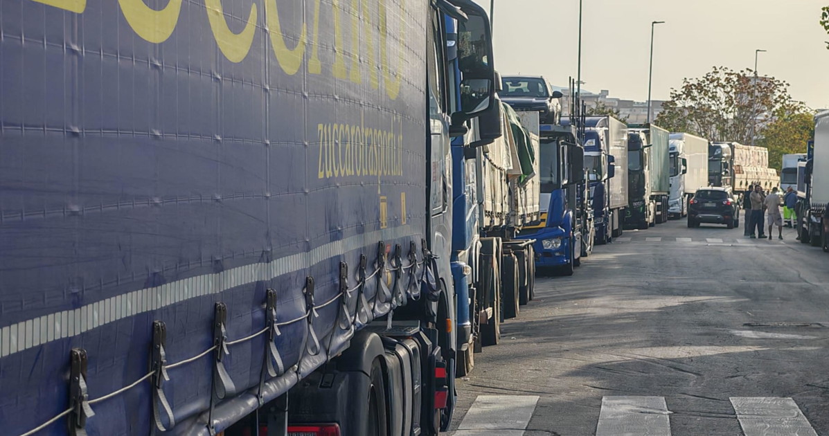 tir si muove il governo camionisti identificati verificarne il casellario giudiziario da Liberoquotidiano.it tir si muove il governo camionisti identificati verificarne il casellario giudiziario